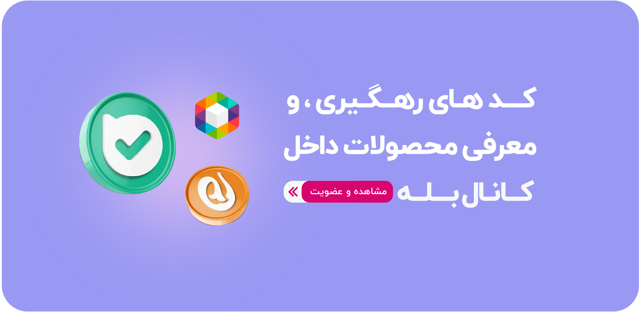 شبکه