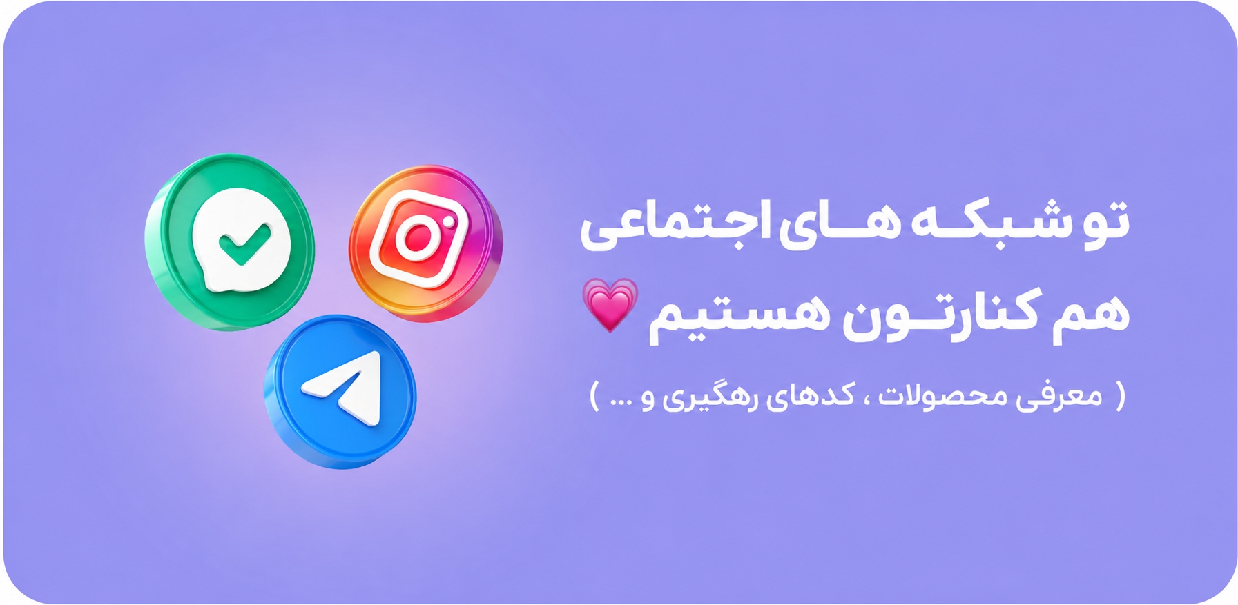 شبکه